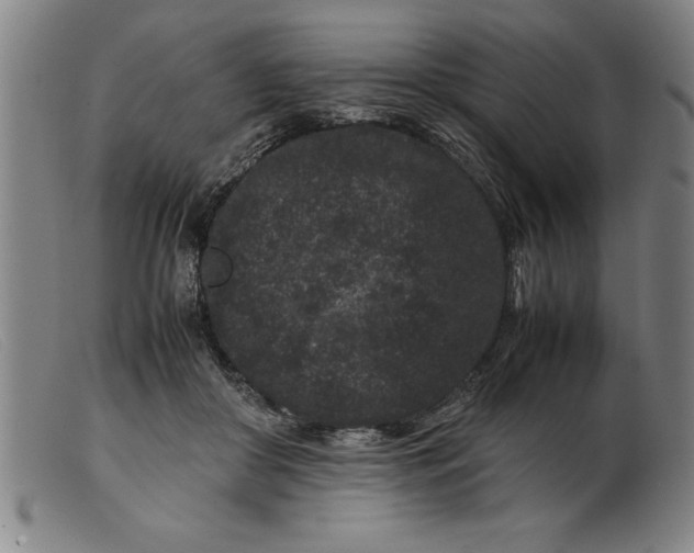 X0000099470410200805231835