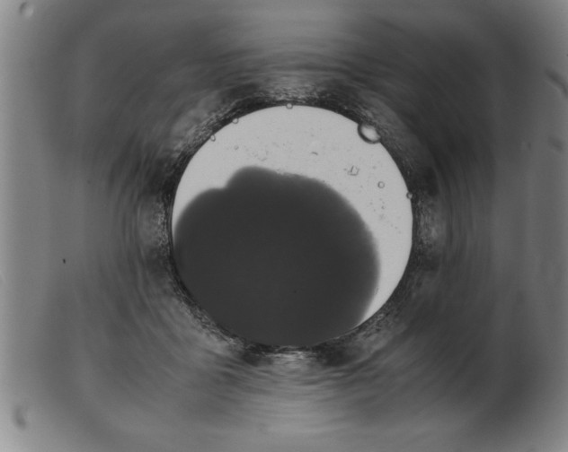 X0000099470411200805231835