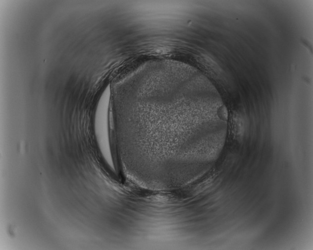 X0000099470412200805231835