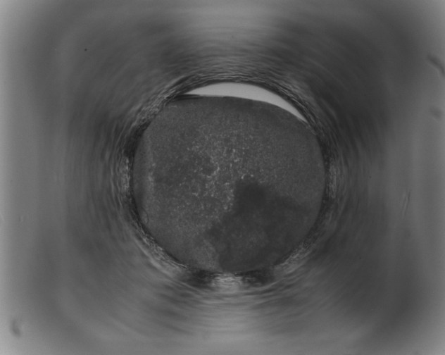 X0000099470413200805231835