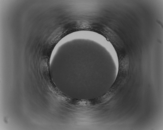 X0000099470415200805231835