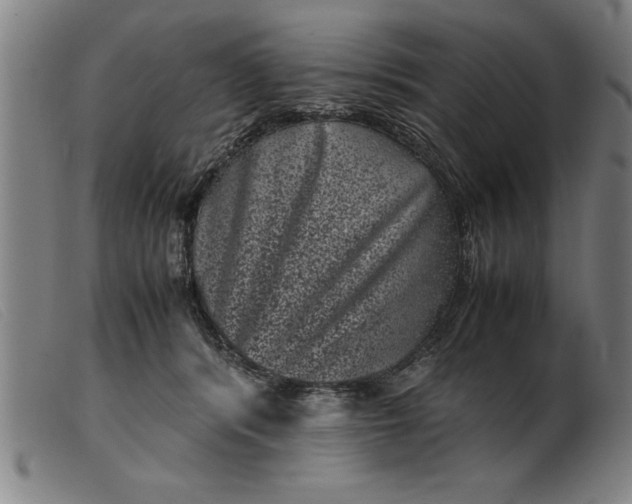 X0000099470416200805231835