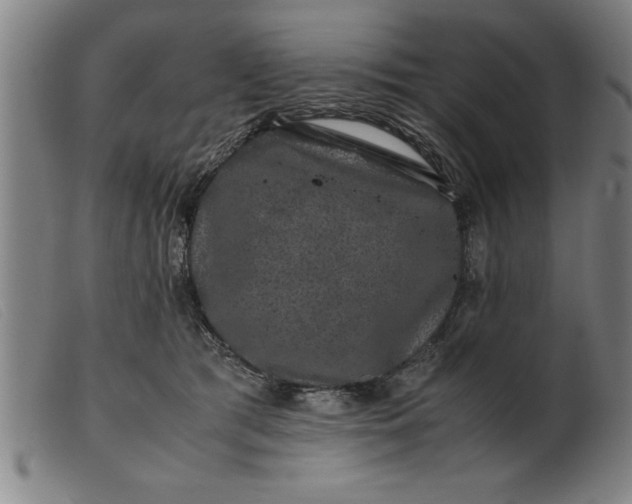 X0000099470417200805231835