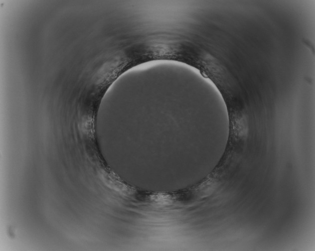 X0000099470419200805231835