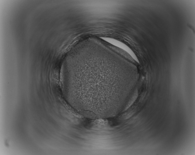 X0000099470421200805231835