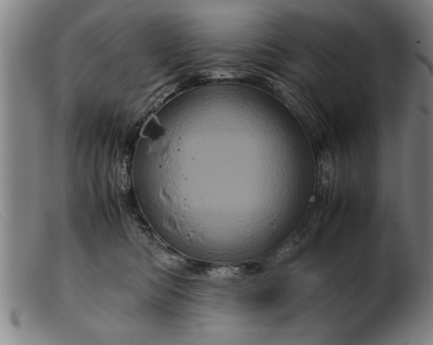 X0000099470422200805231835