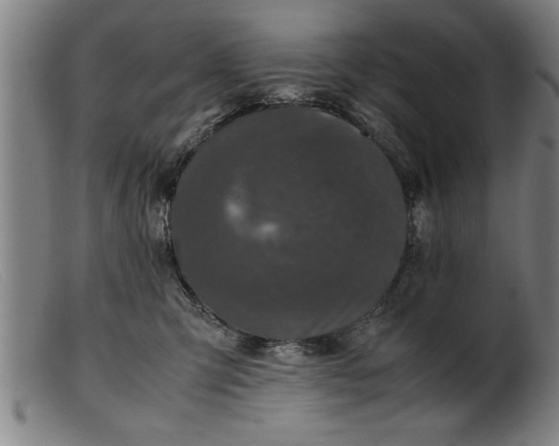 X0000099470423200805231835