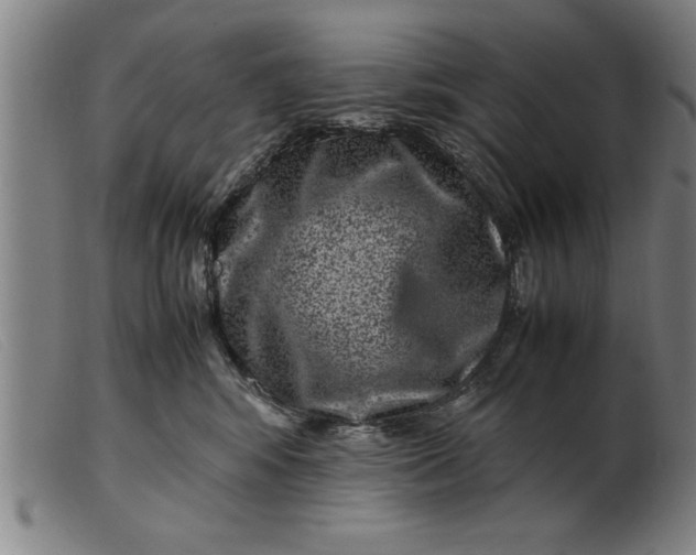 X0000099470424200805231835