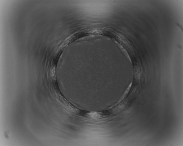 X0000099470425200805231835