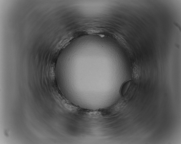 X0000099470426200805231835