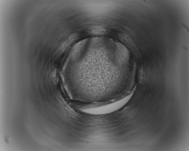 X0000099470428200805231835