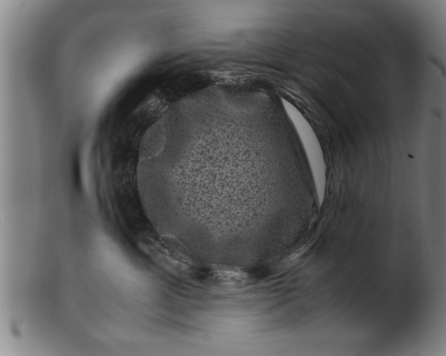 X0000099470429200805231835