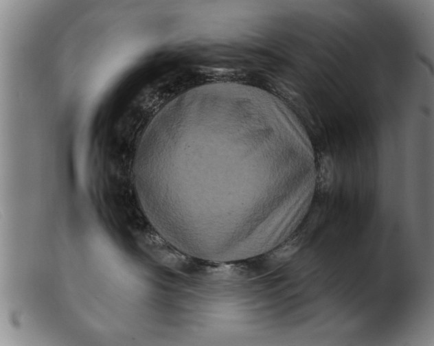 X0000099470430200805231835