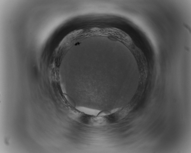 X0000099470431200805231835