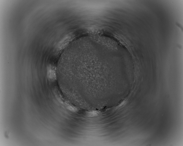 X0000099470432200805231835