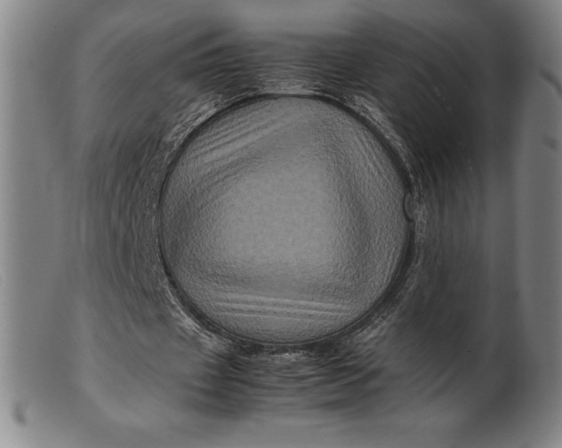 X0000099470433200805231834