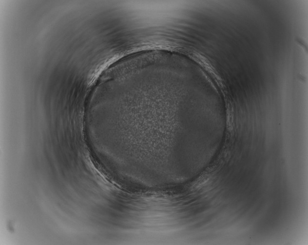 X0000099470434200805231834