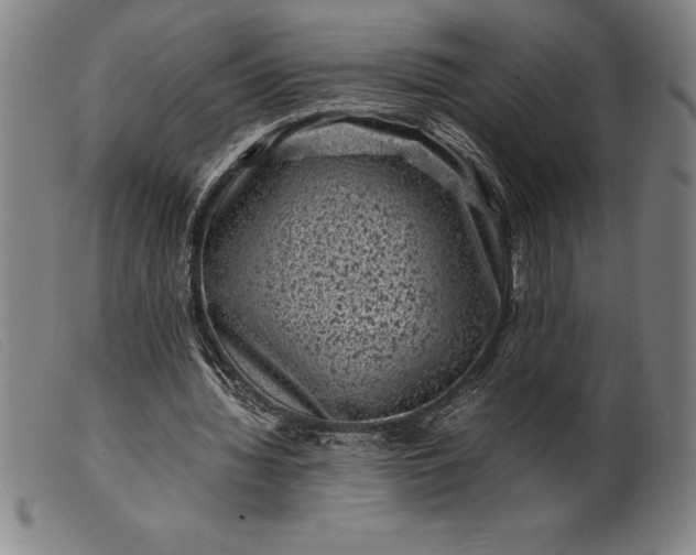 X0000099470436200805231834