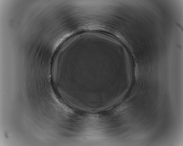 X0000099470438200805231834