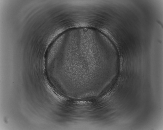 X0000099470439200805231834