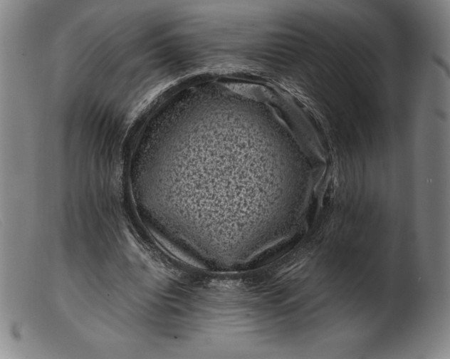 X0000099470440200805231834