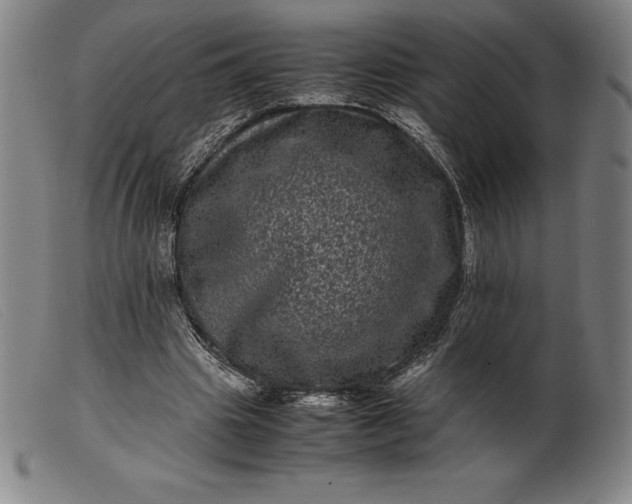 X0000099470441200805231834