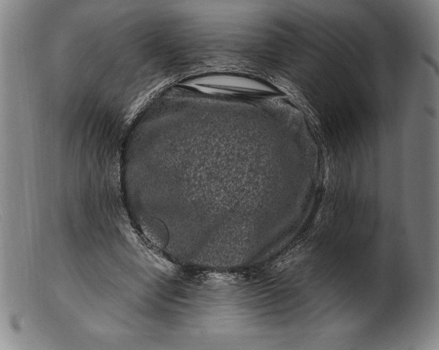 X0000099470442200805231834