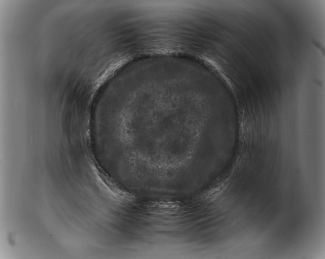 X0000099470443200805231834