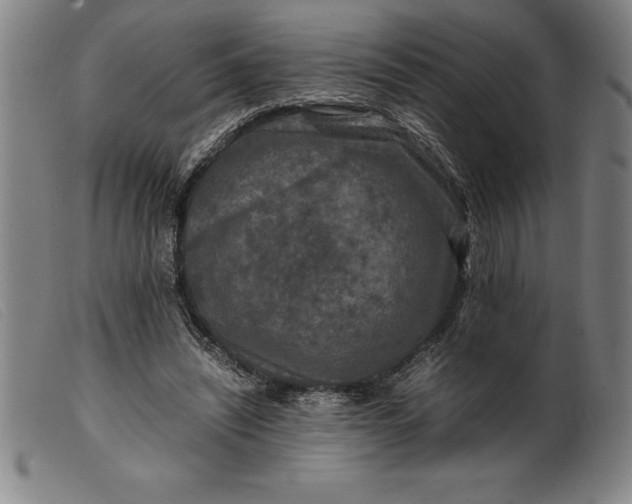 X0000099470444200805231834