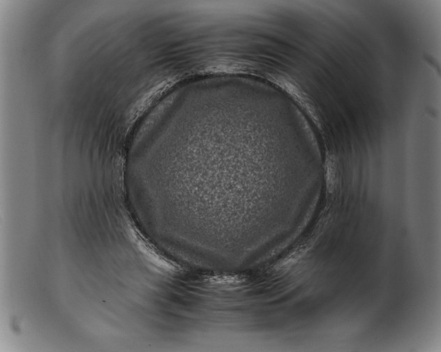 X0000099470445200805231834