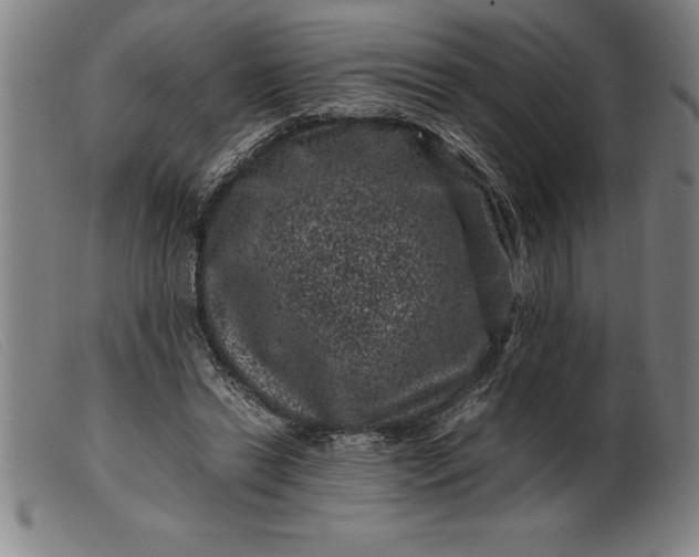 X0000099470446200805231834