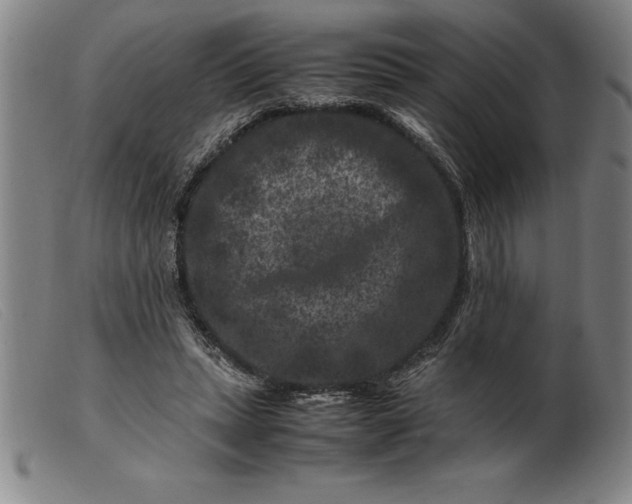 X0000099470447200805231834