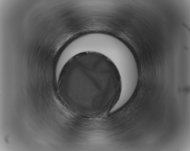 X0000099470448200805231834