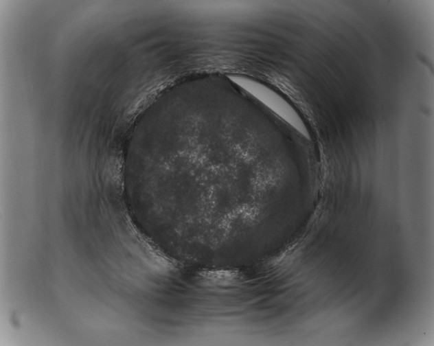 X0000099470449200805231834