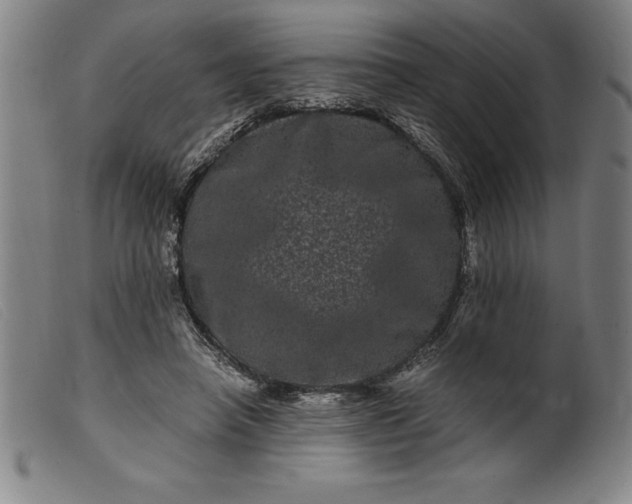 X0000099470450200805231834