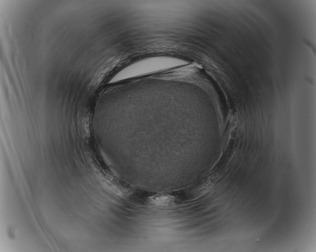 X0000099470452200805231834