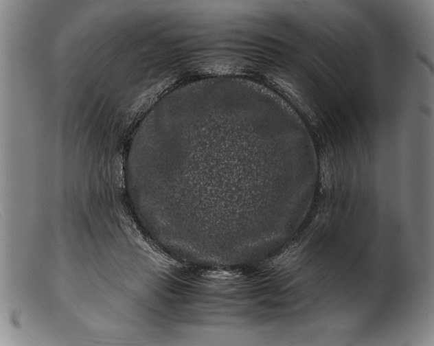 X0000099470453200805231834