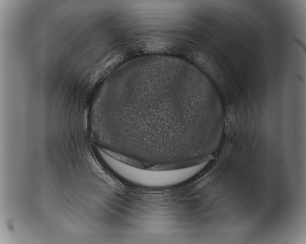 X0000099470454200805231834