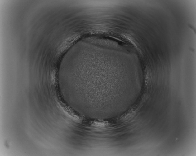 X0000099470455200805231834