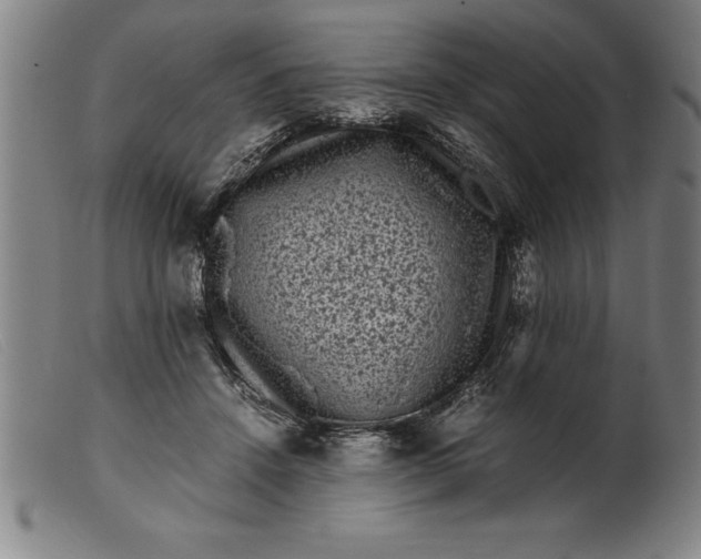 X0000099470456200805231834