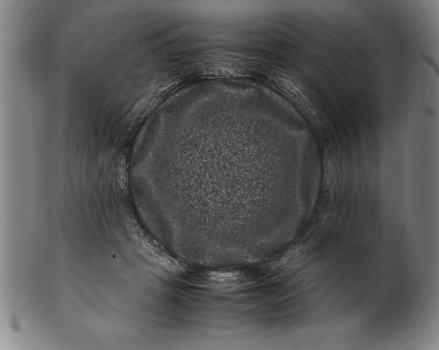 X0000099470457200805231834