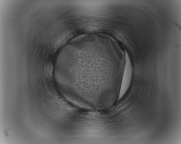 X0000099470458200805231834