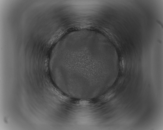 X0000099470462200805231834