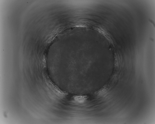 X0000099470465200805231834