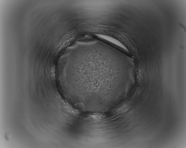 X0000099470466200805231834