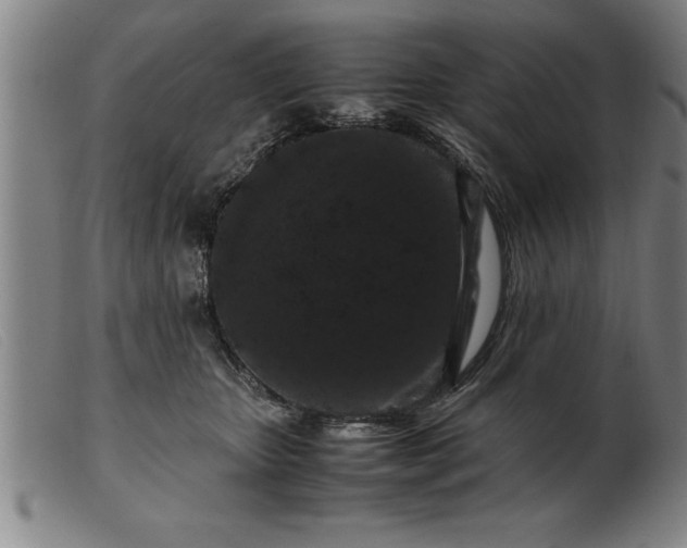 X0000099470467200805231834