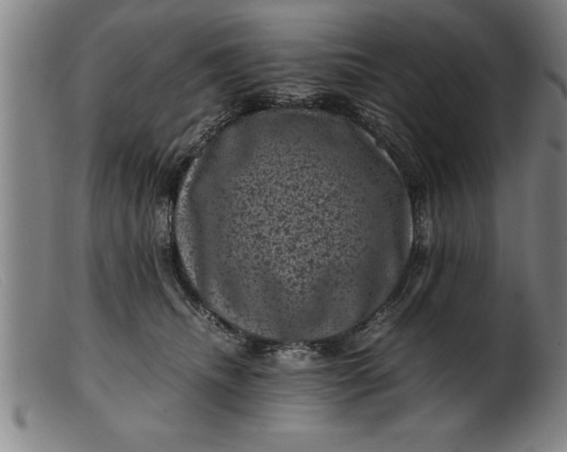 X0000099470468200805231834