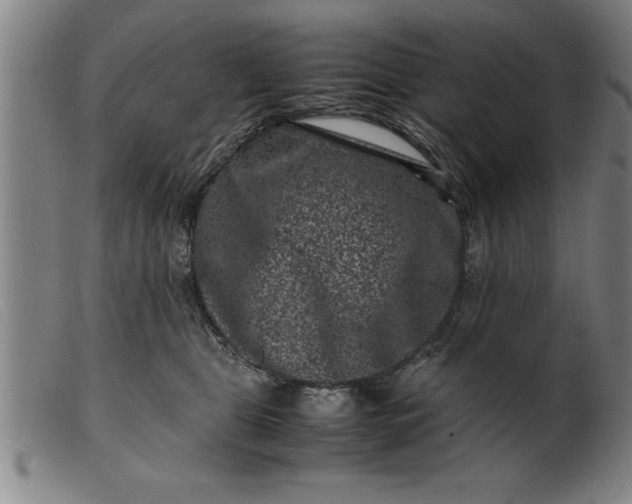 X0000099470469200805231834