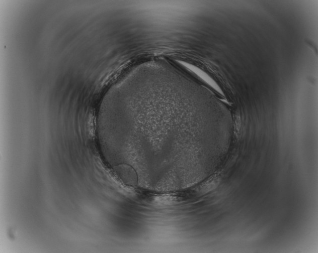 X0000099470470200805231834