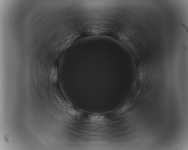 X0000099470471200805231834